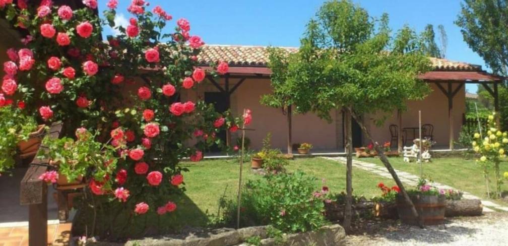 agriturismo IL CASOLARE Bed and Breakfast San Ginesio Exterior foto